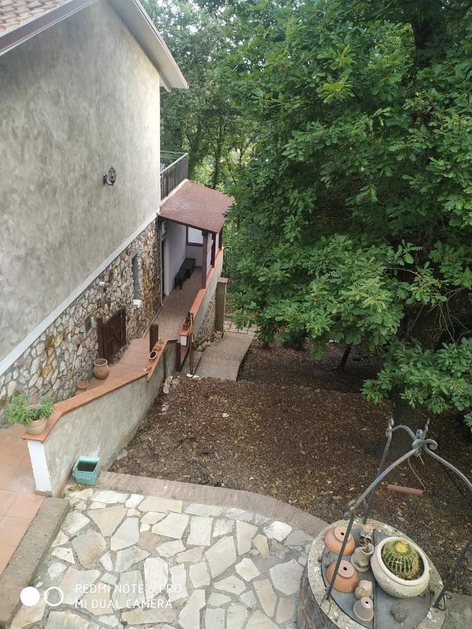 Apartmán Casa Dei Faggi Tolfa Exteriér fotografie