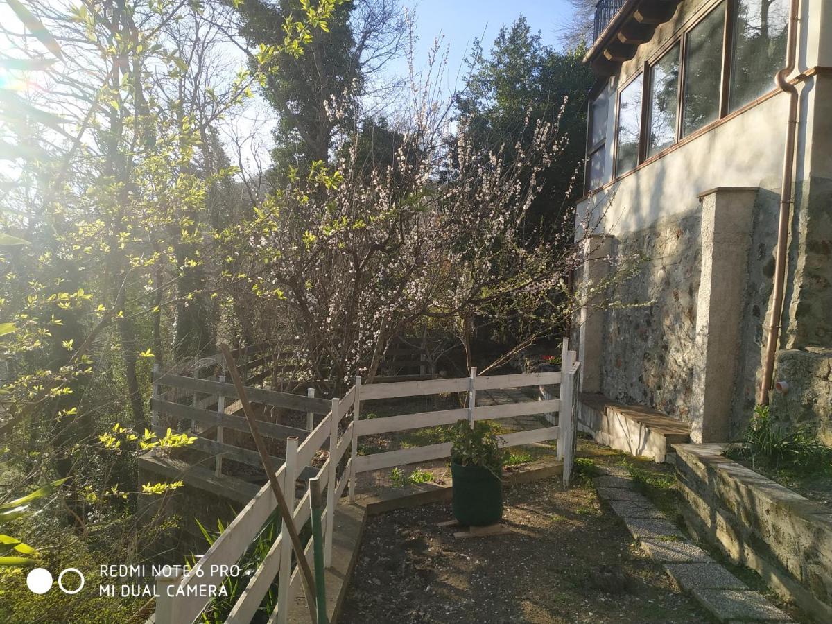Apartmán Casa Dei Faggi Tolfa Exteriér fotografie