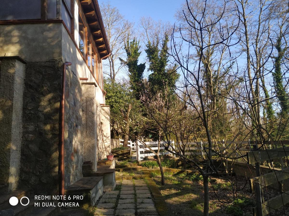 Apartmán Casa Dei Faggi Tolfa Exteriér fotografie