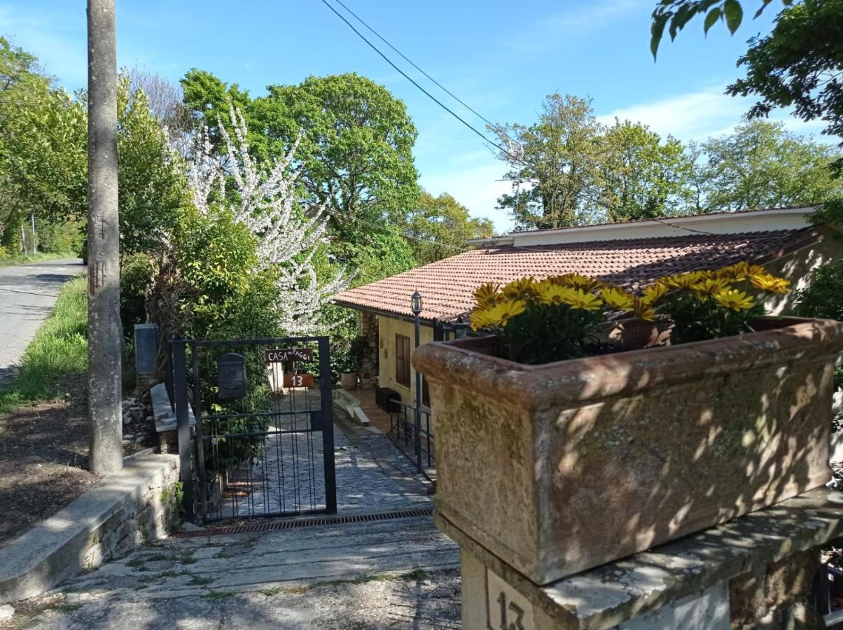 Apartmán Casa Dei Faggi Tolfa Exteriér fotografie