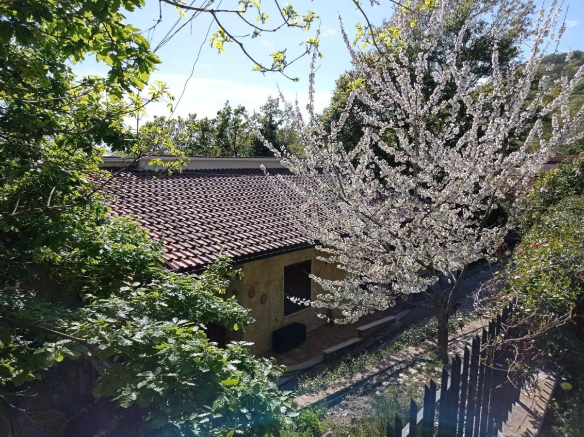 Apartmán Casa Dei Faggi Tolfa Exteriér fotografie