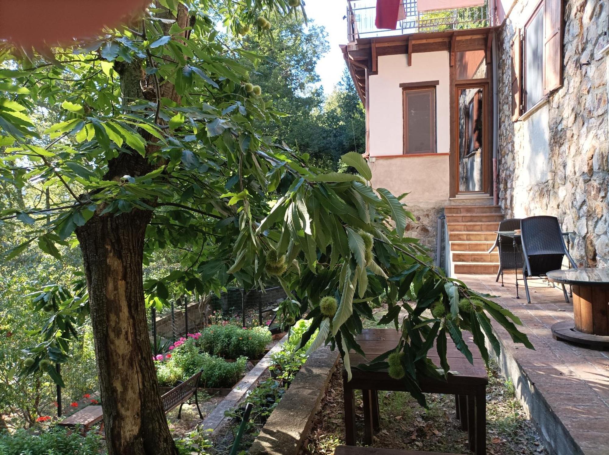 Apartmán Casa Dei Faggi Tolfa Exteriér fotografie